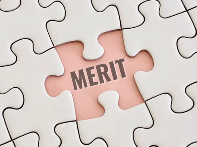 MERITの文字が並んでいる画像